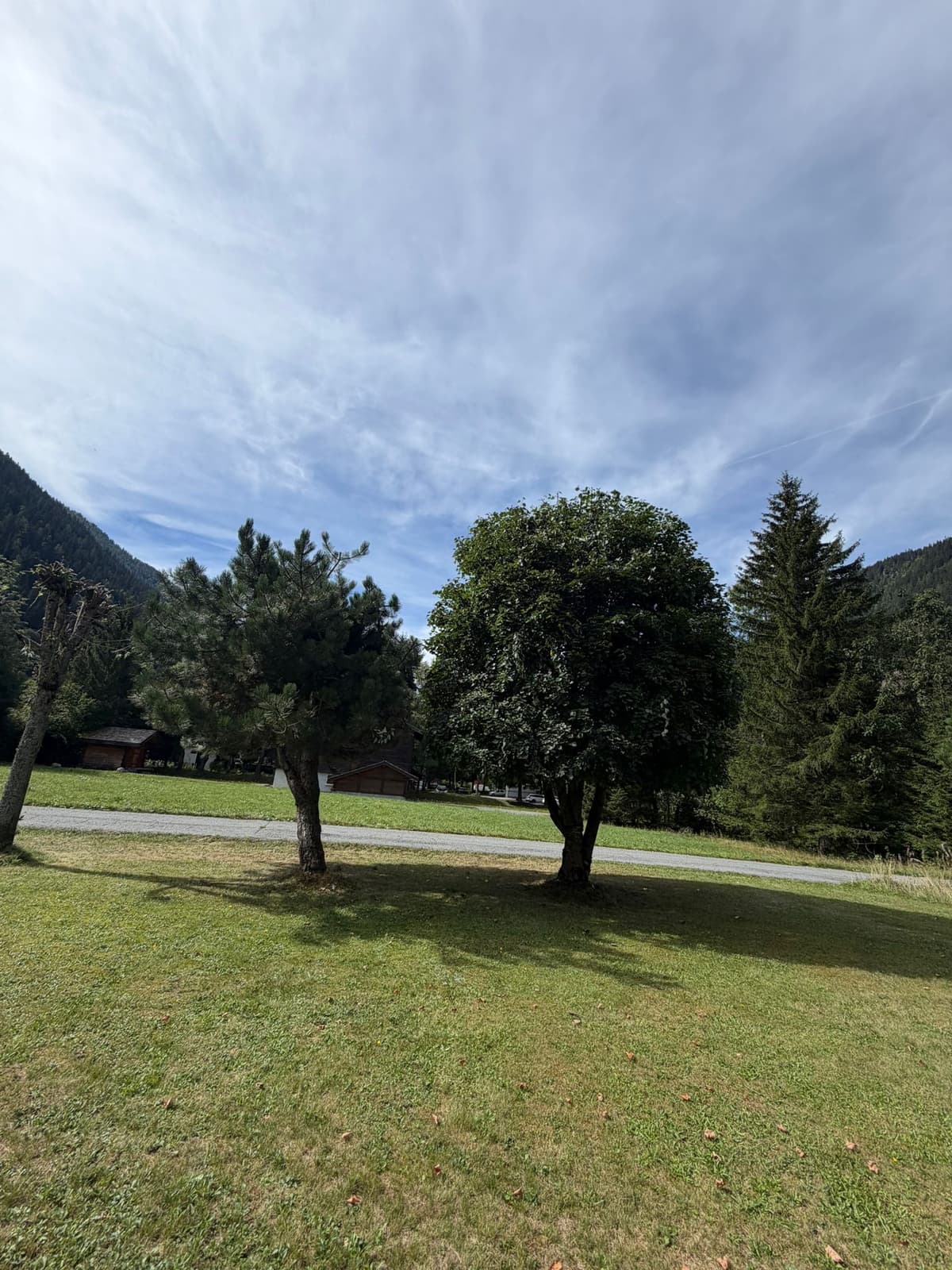 Chantier JM Élagage Faverges — réalisation 6