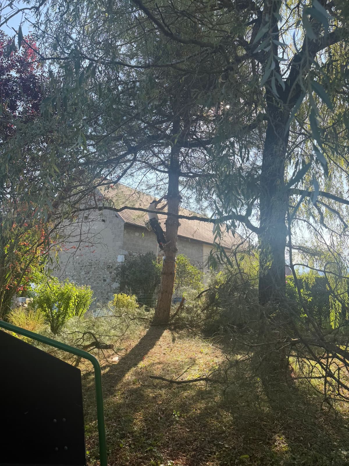 Chantier JM Élagage Faverges — réalisation 7