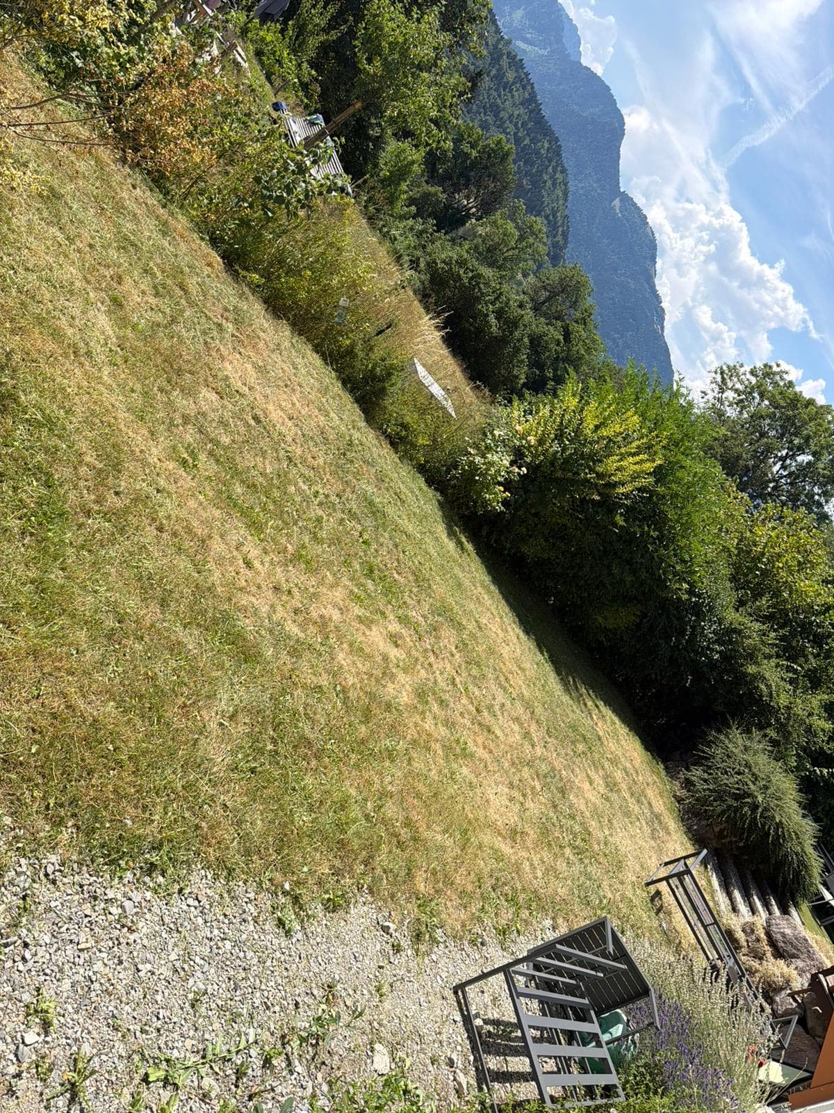 Chantier JM Élagage Faverges — réalisation 5